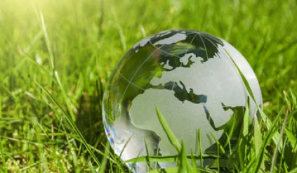 Erdkugel aus Glas liegt auf grünem Gras